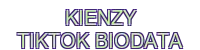 kienzy tiktok biodata
